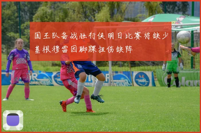 国王队备战独行侠明日比赛将缺少基根穆雷因脚踝扭伤缺阵