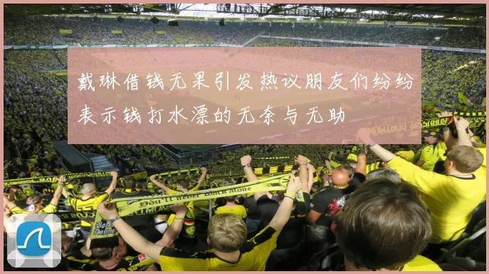 戴琳借钱无果引发热议朋友们纷纷表示钱打水漂的无奈与无助