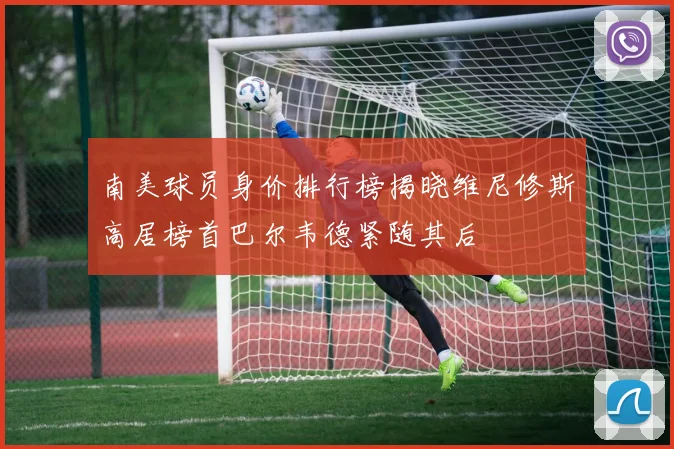 南美球员身价排行榜揭晓维尼修斯高居榜首巴尔韦德紧随其后