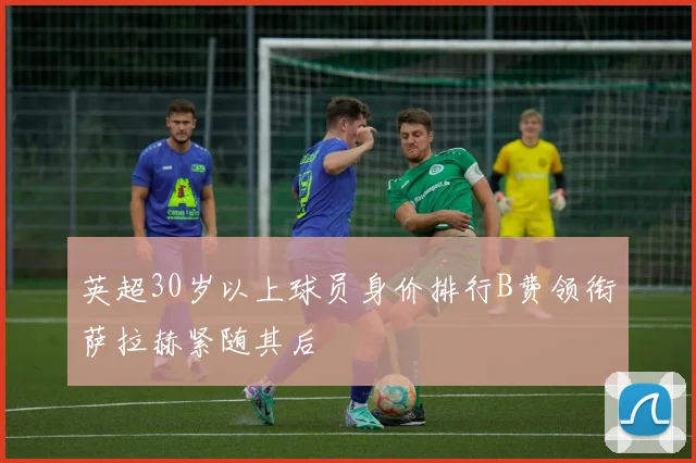英超30岁以上球员身价排行B费领衔萨拉赫紧随其后