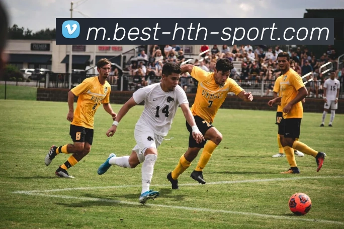 华体会体育APP 封面图